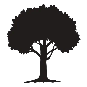 Friends of Bramley Park